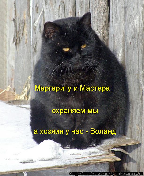 охраняем мы Маргариту и Мастера а хозяин у нас - Воланд... Котоматрица: охраняем мы Маргариту и Мастера а хозяин у нас - Воланд