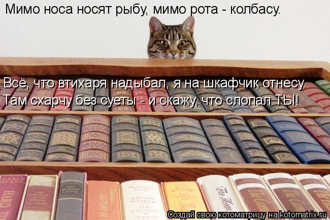 Мимо носа носят рыбу, мимо рота - колбасу. Всё, что втихаря надыбал, я на шкафчик отнесу. Там схарчу ... Котоматрица: Мимо носа носят рыбу, мимо рота - колбасу. Всё, что втихаря надыбал, я на шкафчик отнесу. Там схарчу без суеты - и скажу, что слопал ТЫ!