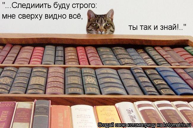 "...Следииить буду строго: мне сверху видно всё, ты так и знай!.."... Котоматрица: "...Следииить буду строго: мне сверху видно всё, ты так и знай!.."
