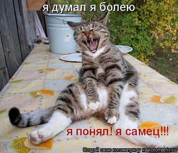 я думал я болею я понял! я самец!!!... Котоматрица: я думал я болею я понял! я самец!!!