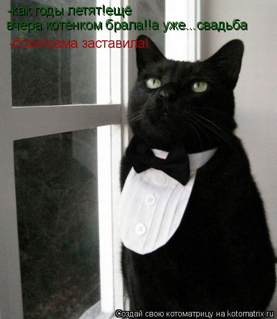 -как годы летят!ещё вчера котёнком брала!!а уже...свадьба -блин!сама заставила!... Котоматрица: -как годы летят!ещё вчера котёнком брала!!а уже...свадьба -блин!сама заставила!