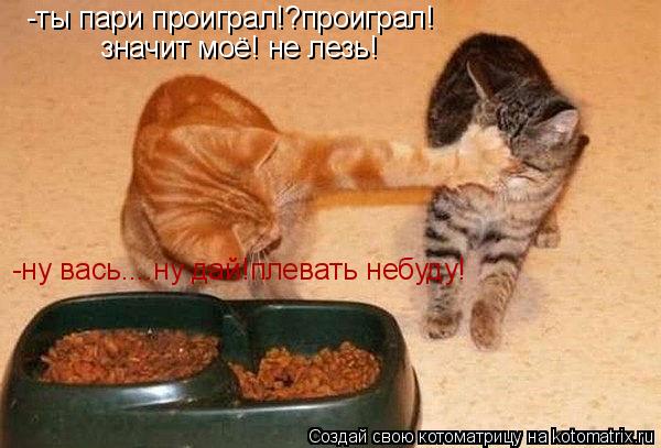 -ты пари проиграл!?проиграл! значит моё! не лезь! -ну вась....ну дай!плевать небуду!... Котоматрица: -ты пари проиграл!?проиграл! значит моё! не лезь! -ну вась....ну дай!плевать небуду!