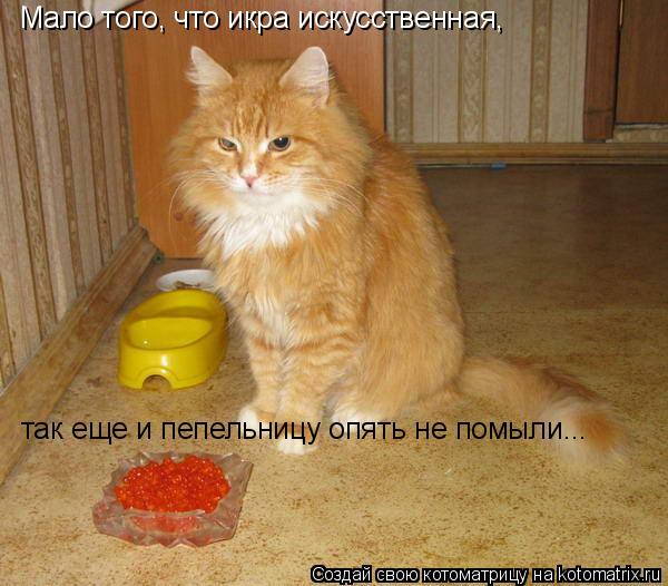 Мало того, что икра искусственная, так еще и пепельницу опять не помыли...... Котоматрица: Мало того, что икра искусственная, так еще и пепельницу опять не помыли...