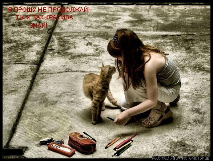 Я ПРОШУ НЕ ПРОДОЛЖАЙ! ТЫ И ТАК КРАСИВА ЗНАЙ!... Котоматрица: Я ПРОШУ НЕ ПРОДОЛЖАЙ! ТЫ И ТАК КРАСИВА ЗНАЙ!