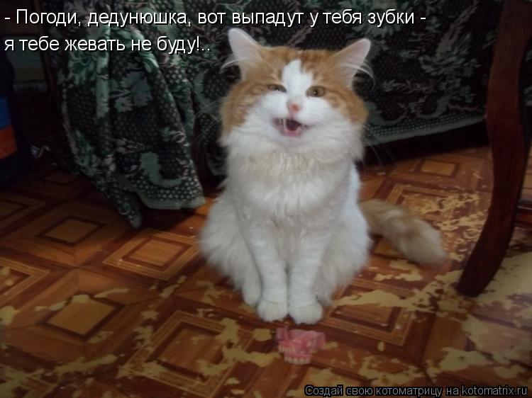 - Погоди, дедунюшка, вот выпадут у тебя зубки - я тебе жевать не буду!..... Котоматрица: - Погоди, дедунюшка, вот выпадут у тебя зубки - я тебе жевать не буду!..