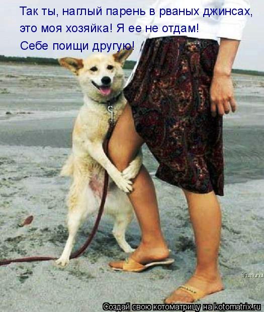 Так ты, наглый парень в рваных джинсах, это моя хозяйка! Я ее не отдам! Себе поищи другую!... Котоматрица: Так ты, наглый парень в рваных джинсах, это моя хозяйка! Я ее не отдам! Себе поищи другую!