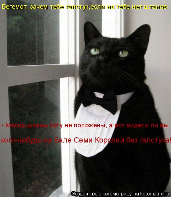 кого-нибудь на Бале Семи Королей без галстука! Бегемот, зачем тебе галстук,если на тебе нет штанов - ... Котоматрица: кого-нибудь на Бале Семи Королей без галстука! Бегемот, зачем тебе галстук,если на тебе нет штанов - Месир,штаны коту не положены, а вот видел
