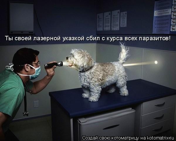 Ты своей лазерной указкой сбил с курса всех паразитов!... Котоматрица: Ты своей лазерной указкой сбил с курса всех паразитов!