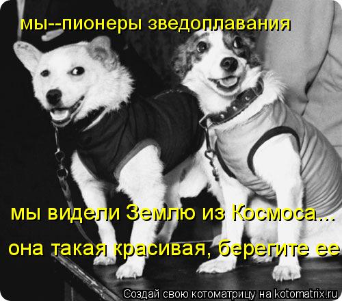 мы--пионеры зведоплавания мы видели Землю из Космоса... она такая красивая, берегите ее.... Котоматрица: мы--пионеры зведоплавания мы видели Землю из Космоса... она такая красивая, берегите ее.