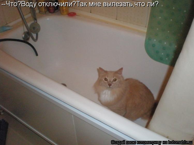 --Что?Воду отключили?Так мне вылезать,что ли?... Котоматрица: --Что?Воду отключили?Так мне вылезать,что ли?