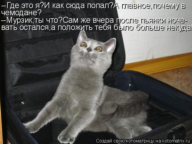 --Где это я?И как сюда попал?А главное,почему в чемодане? --Мурзик,ты что?Сам же вчера после пьянки н... Котоматрица: --Где это я?И как сюда попал?А главное,почему в чемодане? --Мурзик,ты что?Сам же вчера после пьянки ноче- вать остался,а положить тебя было боль