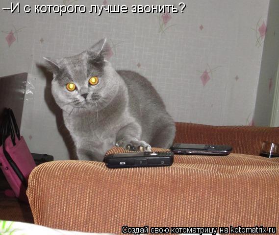 --И с которого лучше звонить?... Котоматрица: --И с которого лучше звонить?