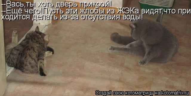 --Вась,ты хоть дверь прикрой! --Ещё чего!Пусть эти жлобы из ЖЭКа видят,что при- ходится делать из-за ... Котоматрица: --Вась,ты хоть дверь прикрой! --Ещё чего!Пусть эти жлобы из ЖЭКа видят,что при- ходится делать из-за отсутствия воды!