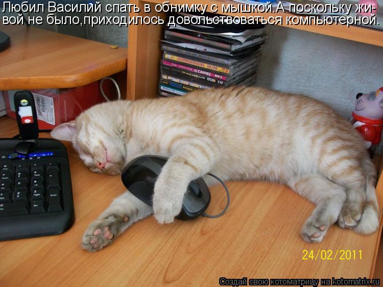 Любил Василий спать в обнимку с мышкой.А поскольку жи- вой не было,приходилось довольствоваться компь... Котоматрица: Любил Василий спать в обнимку с мышкой.А поскольку жи- вой не было,приходилось довольствоваться компьютерной.