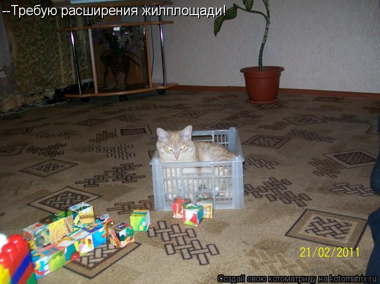 --Требую расширения жилплощади!... Котоматрица: --Требую расширения жилплощади!