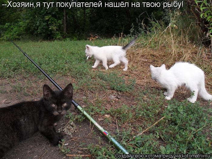 --Хозяин,я тут покупателей нашёл на твою рыбу!... Котоматрица: --Хозяин,я тут покупателей нашёл на твою рыбу!