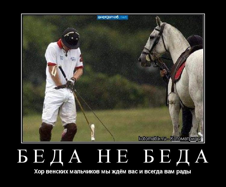 БЕДА НЕ БЕДА Хор венских мальчиков мы ждём вас и всегда вам рады... Котоматрица: БЕДА НЕ БЕДА Хор венских мальчиков мы ждём вас и всегда вам рады