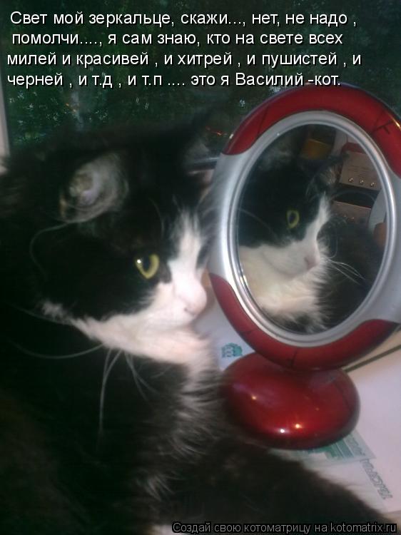 Свет мой зеркальце, скажи..., нет, не надо , помолчи...., я сам знаю, кто на свете всех милей и кра... Котоматрица: Свет мой зеркальце, скажи..., нет, не надо , помолчи...., я сам знаю, кто на свете всех милей и красивей , и хитрей , и пушистей , и черней , и т.д