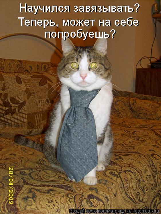 Научился завязывать? Теперь, может на себе попробуешь?... Котоматрица: Научился завязывать? Теперь, может на себе попробуешь?