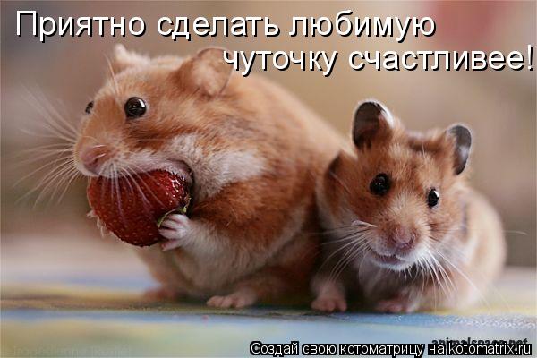 Приятно сделать любимую чуточку счастливее!... Котоматрица: Приятно сделать любимую чуточку счастливее!