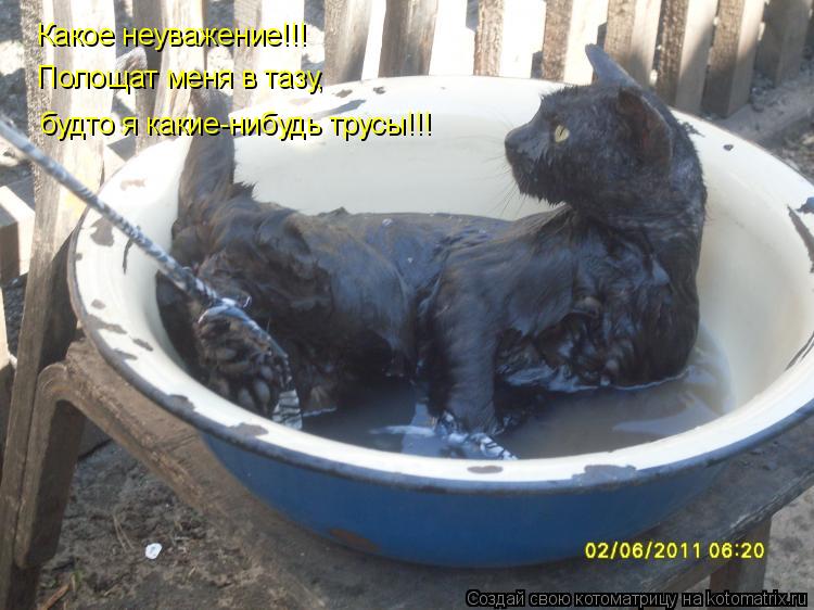 Какое неуважение!!! Полощат меня в тазу, будто я какие-нибудь трусы!!!... Котоматрица: Какое неуважение!!! Полощат меня в тазу, будто я какие-нибудь трусы!!!