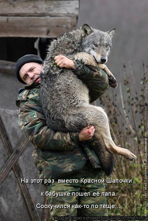 На этот раз вместо Красной Шапочки к бабушке пошел её папа. Соскучился как-то по тёще...... Котоматрица: На этот раз вместо Красной Шапочки к бабушке пошел её папа. Соскучился как-то по тёще...