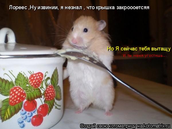 Лореес ,Ну извинии, я незнал , что крышка закроооетсяя Но Я сейчас тебя вытащу И ты меня угостишь...... Котоматрица: Лореес ,Ну извинии, я незнал , что крышка закроооетсяя Но Я сейчас тебя вытащу И ты меня угостишь...