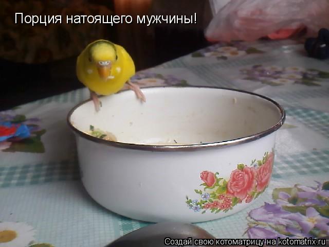 Порция натоящего мужчины!... Котоматрица: Порция натоящего мужчины!