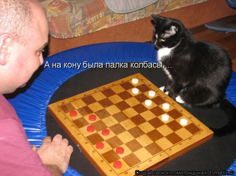 А на кону была палка колбасы....... Котоматрица: А на кону была палка колбасы....