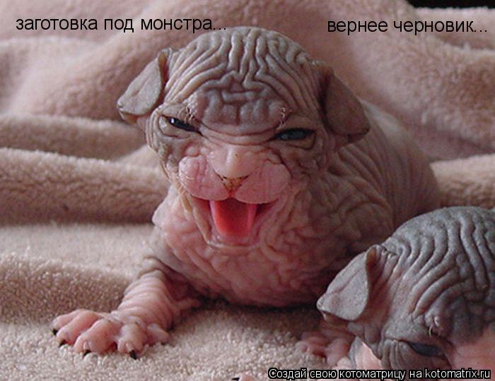 заготовка под монстра... вернее черновик...... Котоматрица: заготовка под монстра... вернее черновик...