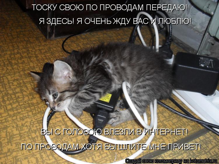 ТОСКУ СВОЮ ПО ПРОВОДАМ ПЕРЕДАЮ! Я ЗДЕСЬ! Я ОЧЕНЬ ЖДУ ВАС И ЛЮБЛЮ! ВЫ С ГОЛОВОЮ ВЛЕЗЛИ В ИНТЕРНЕТ! ПО ... Котоматрица: ТОСКУ СВОЮ ПО ПРОВОДАМ ПЕРЕДАЮ! Я ЗДЕСЬ! Я ОЧЕНЬ ЖДУ ВАС И ЛЮБЛЮ! ВЫ С ГОЛОВОЮ ВЛЕЗЛИ В ИНТЕРНЕТ! ПО ПРОВОДАМ ХОТЯ БЫ ШЛИТЕ МНЕ ПРИВЕТ!