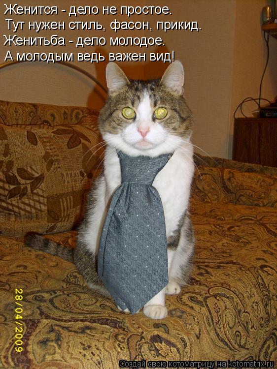 Женится - дело не простое. Женитьба - дело молодое. А молодым ведь важен вид! Тут нужен стиль, фасон... Котоматрица: Женится - дело не простое. Женитьба - дело молодое. А молодым ведь важен вид! Тут нужен стиль, фасон, прикид.
