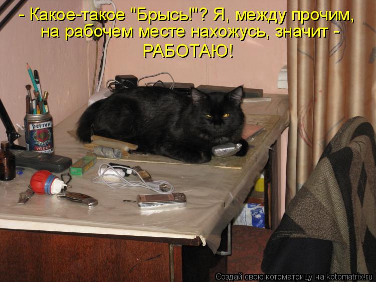 - Какое-такое "Брысь!"? Я, между прочим, на рабочем месте нахожусь, значит - РАБОТАЮ!... Котоматрица: - Какое-такое "Брысь!"? Я, между прочим, на рабочем месте нахожусь, значит - РАБОТАЮ!