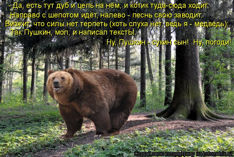 - Да, есть тут дуб и цепь на нём, и котик туда-сюда ходит. Так Пушкин, мол, и написал текстЫ. Направ... Котоматрица: - Да, есть тут дуб и цепь на нём, и котик туда-сюда ходит. Так Пушкин, мол, и написал текстЫ. Направо с шепотом идёт, налево - песнь свою заводит.