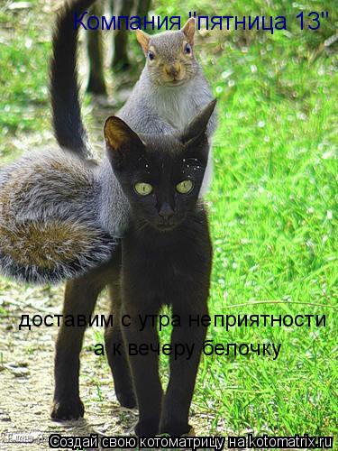 Компания "пятница 13" доставим с утра неприятности а к вечеру белочку... Котоматрица: Компания "пятница 13" доставим с утра неприятности а к вечеру белочку