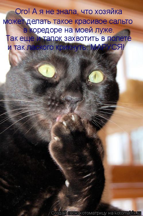 Ого! А я не знала, что хозяйка может делать такое красивое сальто в коредоре на моей луже. Так еще и ... Котоматрица: Ого! А я не знала, что хозяйка может делать такое красивое сальто в коредоре на моей луже. Так еще и тапок захвотить в полете и так лаского кр