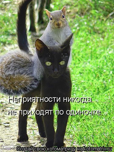 Неприятности никогда не приходят по одиночке...... Котоматрица: Неприятности никогда не приходят по одиночке...