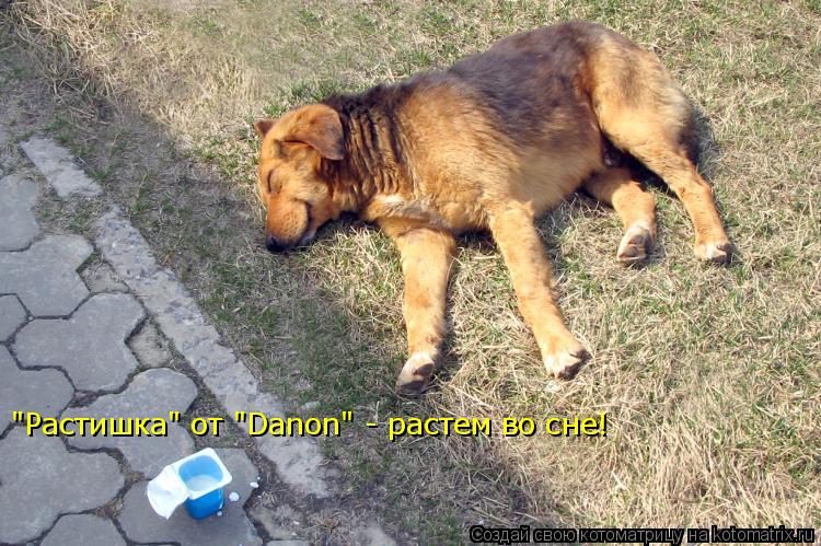 "Растишка" от "Danon" - растем во сне!... Котоматрица: "Растишка" от "Danon" - растем во сне!