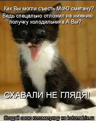 Как Вы могли съесть МоЮ сметану? Ведь спецально отложил на нижнию получку холодильника.А Вы? СХАВАЛИ... Котоматрица: Как Вы могли съесть МоЮ сметану? Ведь спецально отложил на нижнию получку холодильника.А Вы? СХАВАЛИ НЕ ГЛЯДЯ!