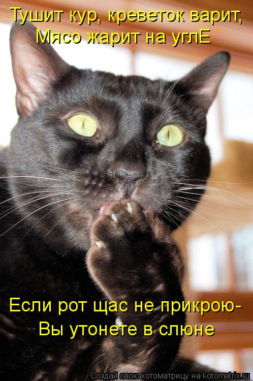 Тушит кур, креветок варит, Мясо жарит на углЕ Если рот щас не прикрою- Вы утонете в слюне... Котоматрица: Тушит кур, креветок варит, Мясо жарит на углЕ Если рот щас не прикрою- Вы утонете в слюне