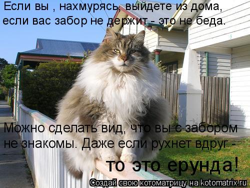 Если вы , нахмурясь, выйдете из дома, если вас забор не держит - это не беда. Можно сделать вид, что... Котоматрица: Если вы , нахмурясь, выйдете из дома, если вас забор не держит - это не беда. Можно сделать вид, что вы с забором не знакомы. Даже если рухнет в