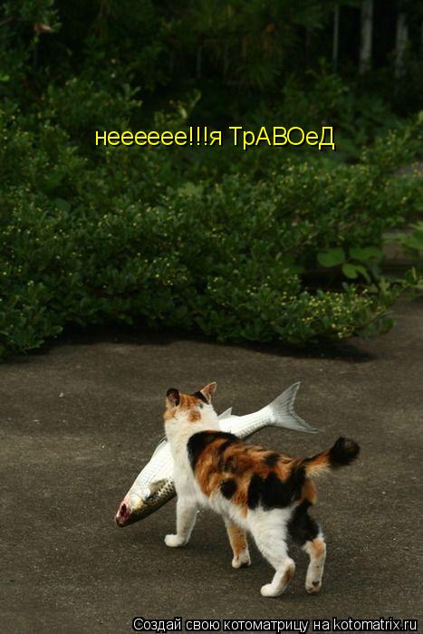 нееееее!!!я ТрАВОеД... Котоматрица: нееееее!!!я ТрАВОеД