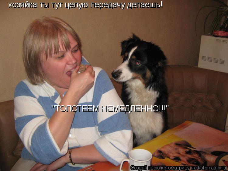 хозяйка ты тут целую передачу делаешь! "ТОЛСТЕЕМ НЕМЕДЛЕННО!!! "ТОЛСТЕЕМ НЕМЕДЛЕННО!!!"... Котоматрица: хозяйка ты тут целую передачу делаешь! "ТОЛСТЕЕМ НЕМЕДЛЕННО!!! "ТОЛСТЕЕМ НЕМЕДЛЕННО!!!"