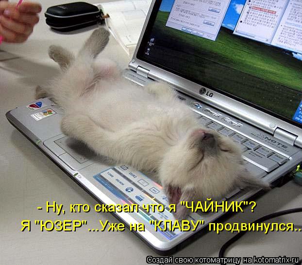 - Ну, кто сказал что я "ЧАЙНИК"? Я "ЮЗЕР"...Уже на "КЛАВУ" продвинулся...... Котоматрица: - Ну, кто сказал что я "ЧАЙНИК"? Я "ЮЗЕР"...Уже на "КЛАВУ" продвинулся...