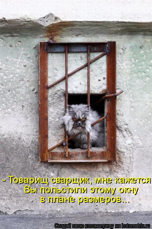 - Товарищ сварщик, мне кажется, Вы польстили этому окну в плане размеров...... Котоматрица: - Товарищ сварщик, мне кажется, Вы польстили этому окну в плане размеров...