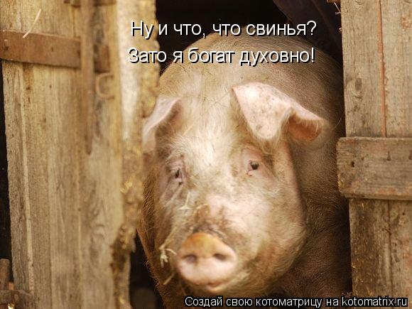 Ну и что, что свинья? Зато я богат духовно!... Котоматрица: Ну и что, что свинья? Зато я богат духовно!
