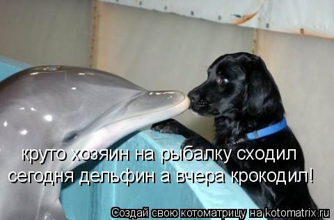 круто хозяин на рыбалку сходил сегодня дельфин а вчера крокодил!... Котоматрица: круто хозяин на рыбалку сходил сегодня дельфин а вчера крокодил!