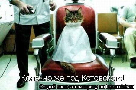 Конечно же под Котовского!... Котоматрица: Конечно же под Котовского!