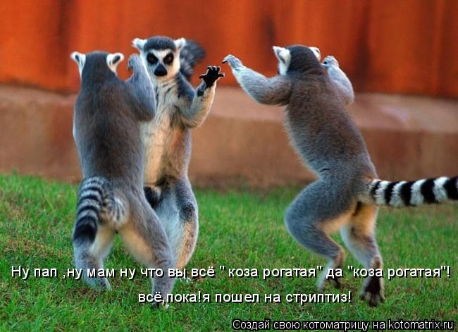 Ну пап ,ну мам ну что вы всё " коза рогатая" да "коза рогатая"! всё,пока!я пошел на стриптиз!... Котоматрица: Ну пап ,ну мам ну что вы всё " коза рогатая" да "коза рогатая"! всё,пока!я пошел на стриптиз!