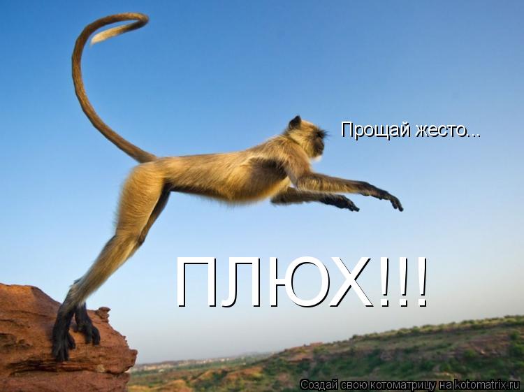 Прощай жесто... ПЛЮХ!!!... Котоматрица: Прощай жесто... ПЛЮХ!!!